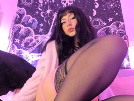 orchide-kitty
